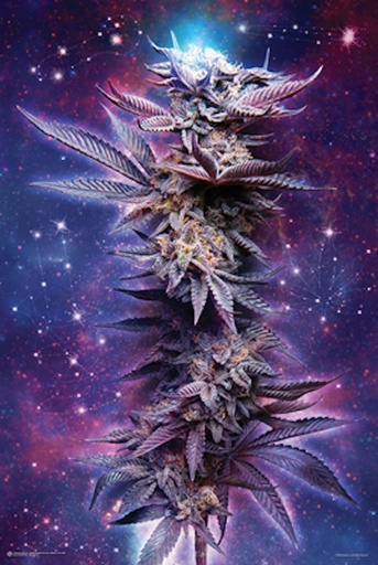 [51763] Spaced Out Weed Poster